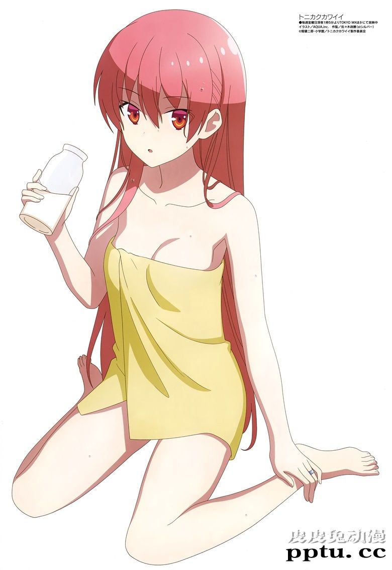 [megami] 2020年12月号图集 动画官方绘