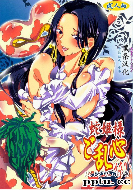 [中文] [黑白]海贼王同人蛇姫様ご乱心[25P]