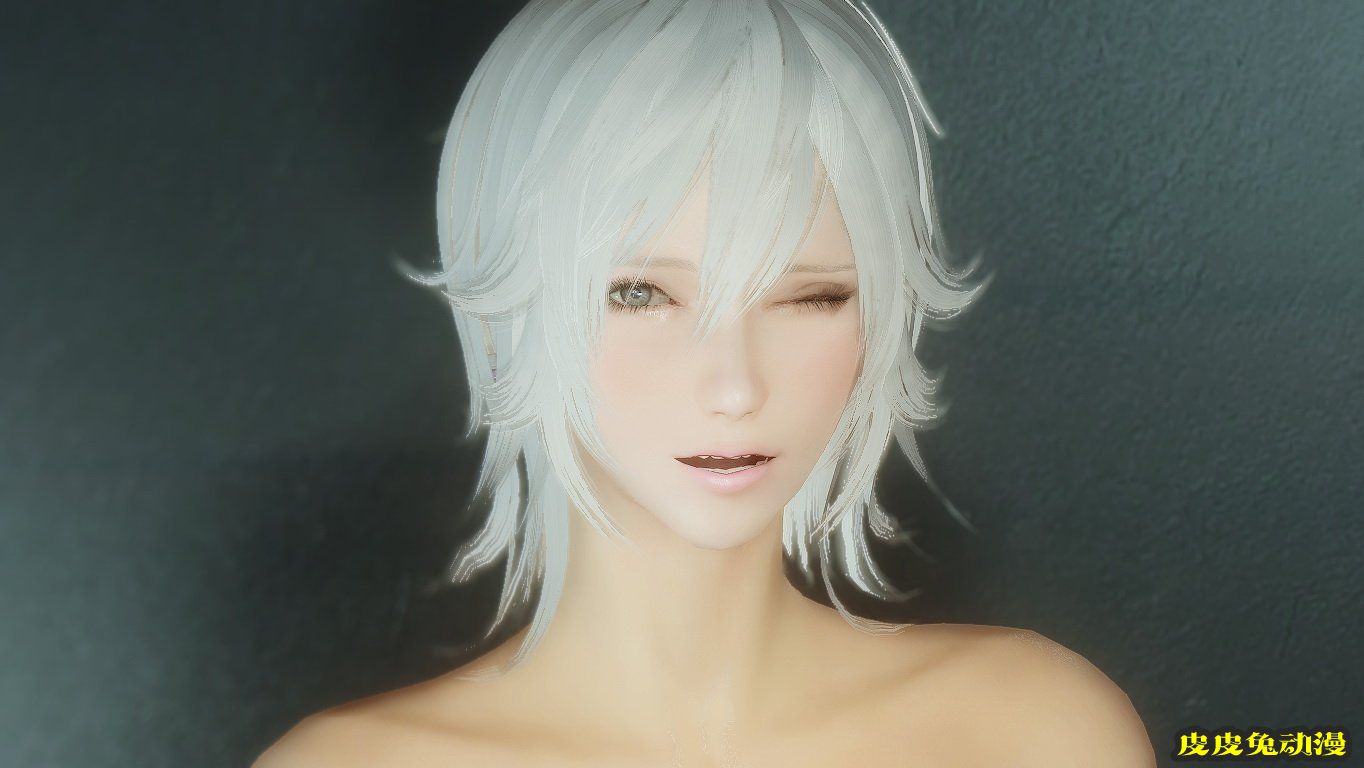 [中文] [3D全彩]高清绝美MOD图上古卷轴5天际part.1-2[49P]