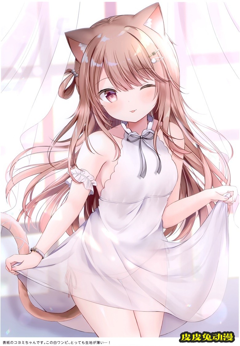 (秋葉原同人祭 第3回) [銀のあめ (まさよ)] KOYOMEAL (オリジナル)